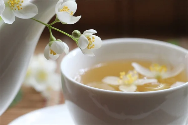 低木の病害虫対策、予防が最善！知っておきたい基本
