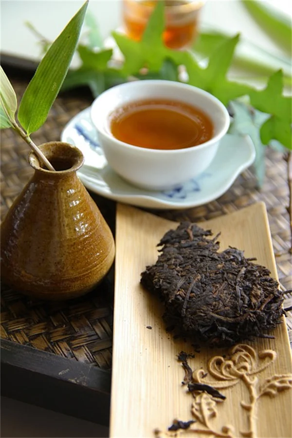斜面に高床式菜園を作る！土壌流出を防ぐ簡単設置法