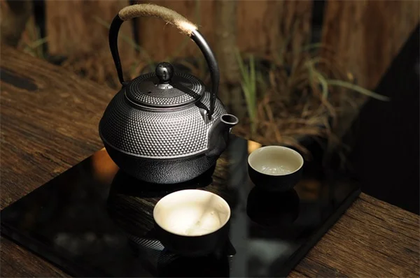 ランタナの植え替えは簡単！正しい時期と方法を初心者向けに解説