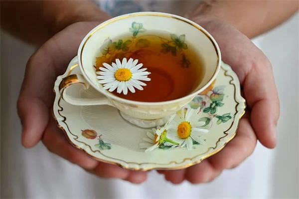 ガイ・リッチーの農場風スタイルを再現！グリーンガラスの花瓶×白い花のコーディネート術