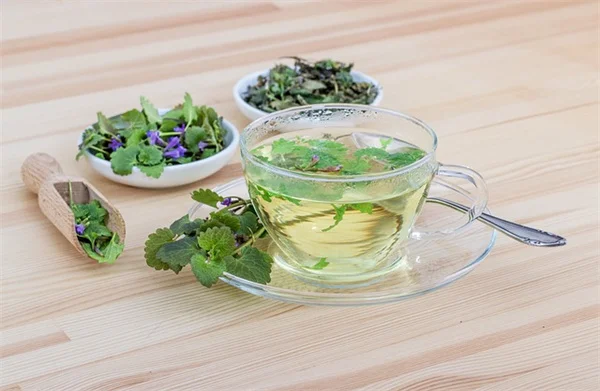 冬の剪定、絶対に切ってはいけない7つの植物